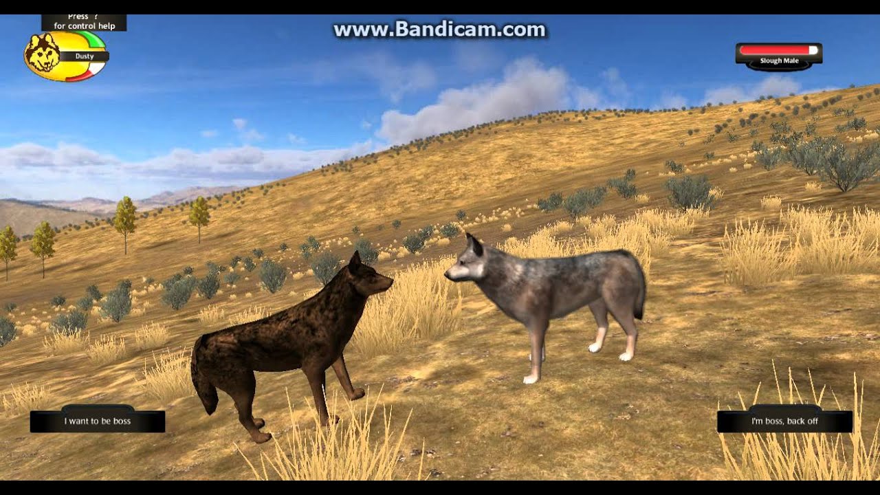 wolf quest 2.7 download