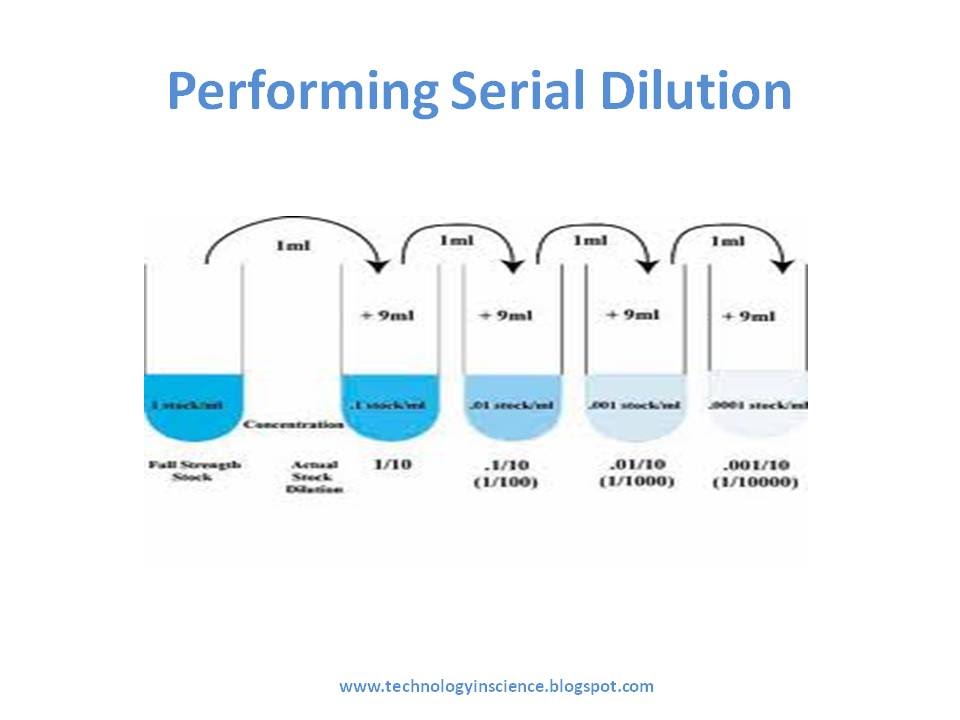 serial dilution lab report